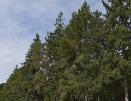 ln_nquatro_10009075.jpg